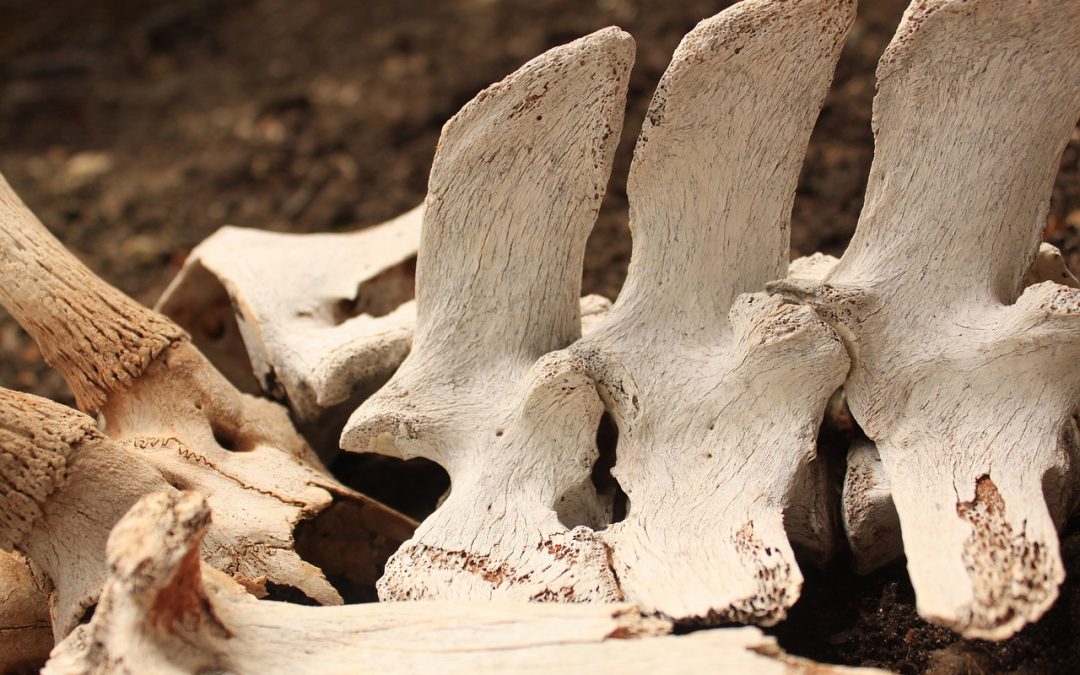 Consecuencias de la descalcificación de los huesos