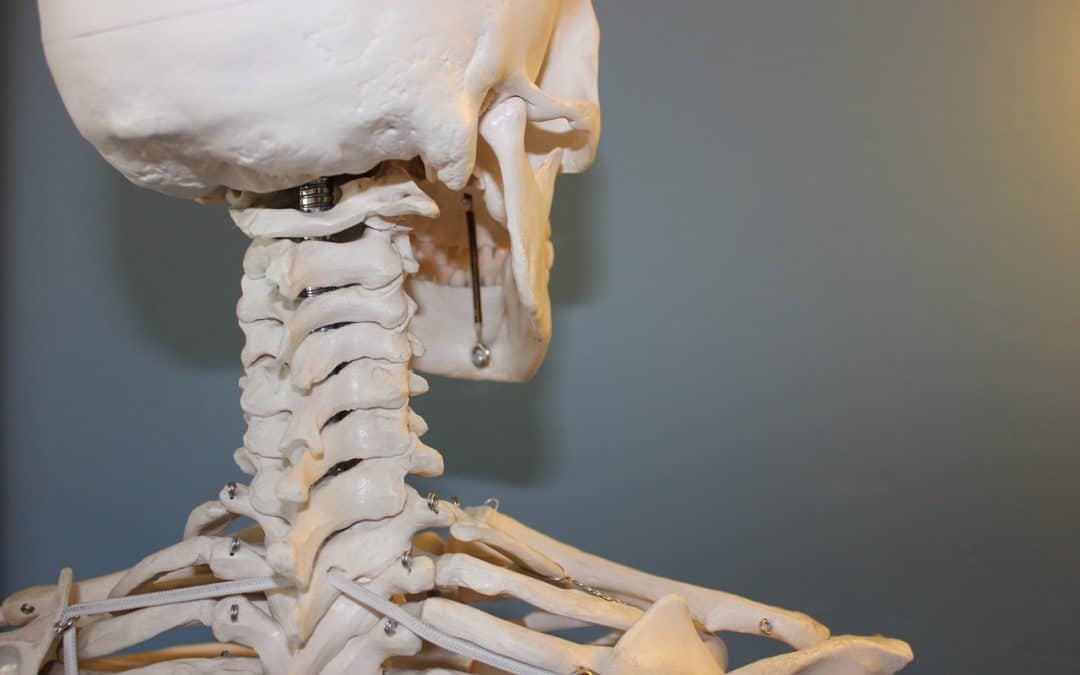 ¿Hasta qué edad crecen los huesos del cuerpo humano?